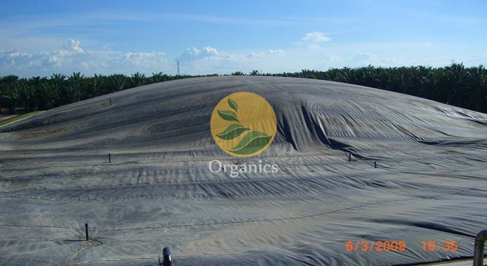 Aerial view of a covered anaerobic lagoon capturing biogas at a palm oil mill