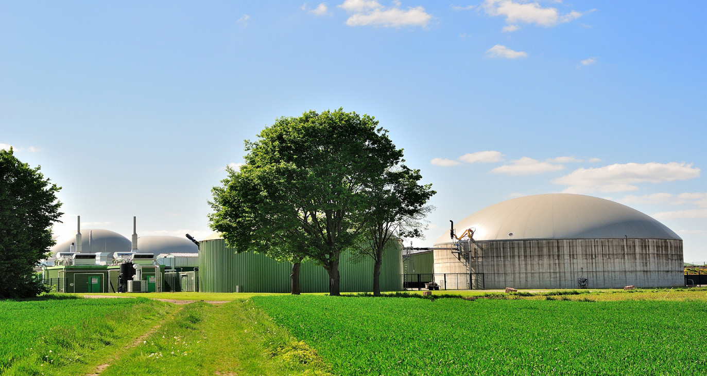 Anaerobic digester tank installation with biogas storage domes at a processing facility
