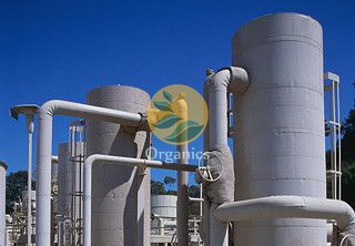 Biogas storage and gas clean-up infrastructure at an industrial anaerobic digestion facility