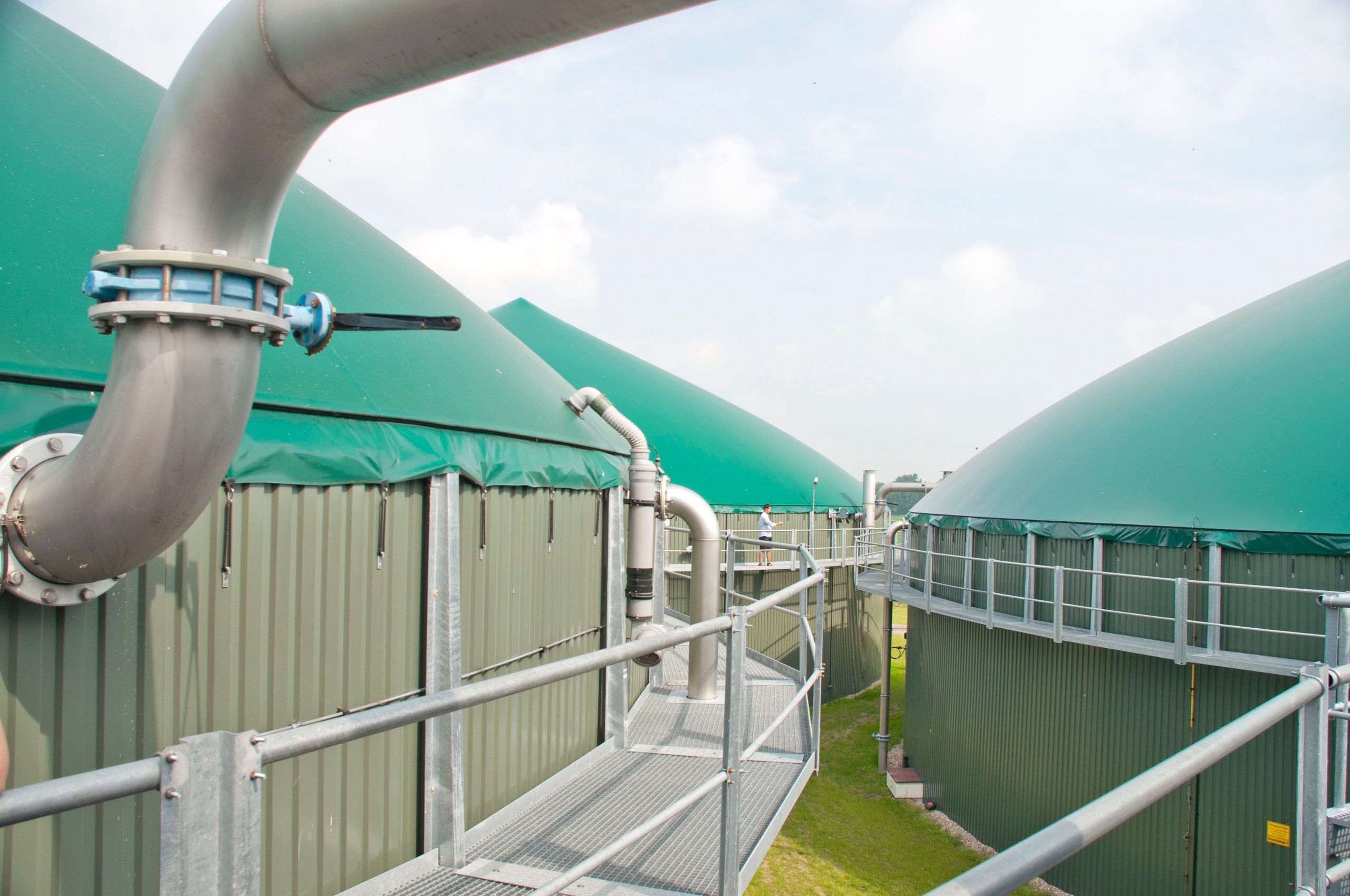 Biogas storage domes at an anaerobic digestion facility
