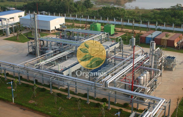 Cryogenic gas processing facility with cold boxes and pipework