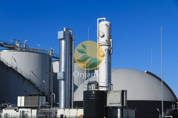 Dairy farm and processing facility with anaerobic digestion infrastructure