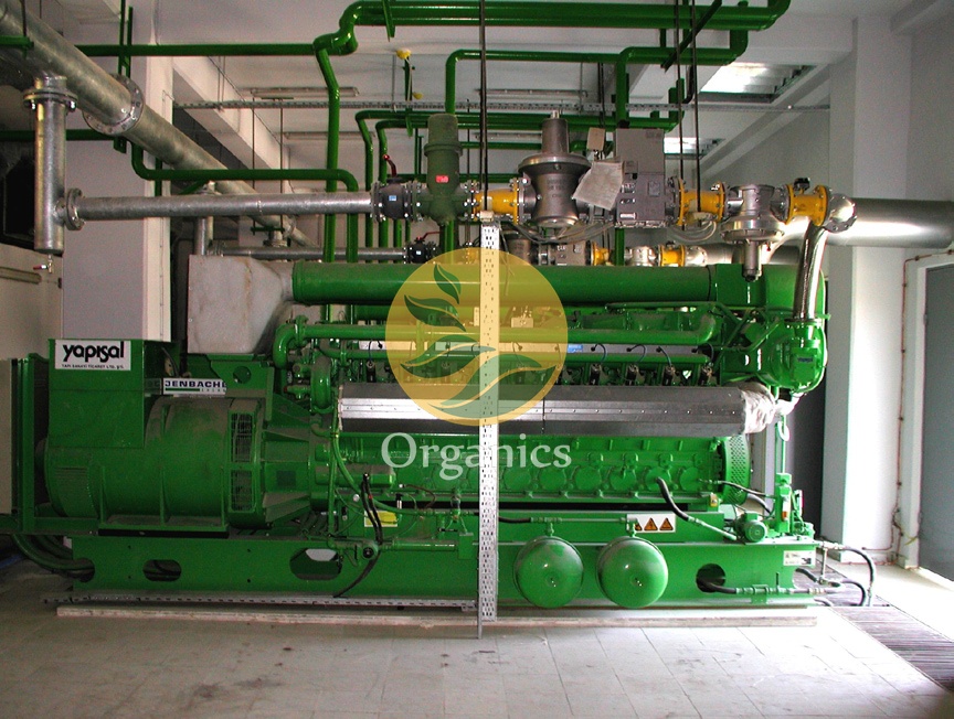Gas engine and pumping equipment used to process extracted coal bed methane