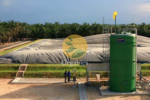 Green anaerobic digestion biogas tank installed among palm oil plantation covered lagoons