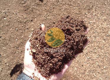 Handful of processed biomass/sludge material ready for pyrolysis feed