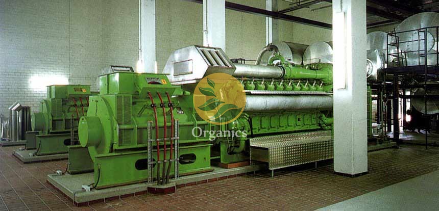 Landfill gas engine generator hall with green combined heat and power engines