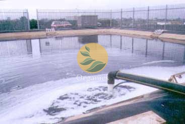 Pneumatic extraction pump operating in a landfill leachate lagoon setting