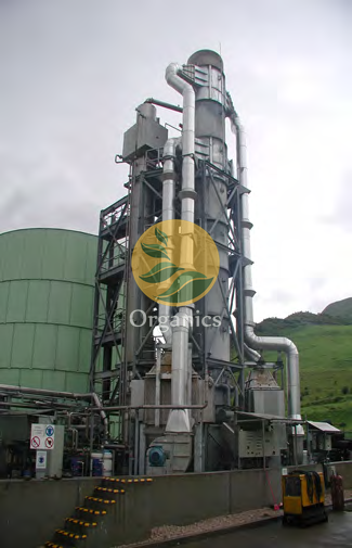 Technician inspecting ammonia stripper packing during a maintenance shutdown