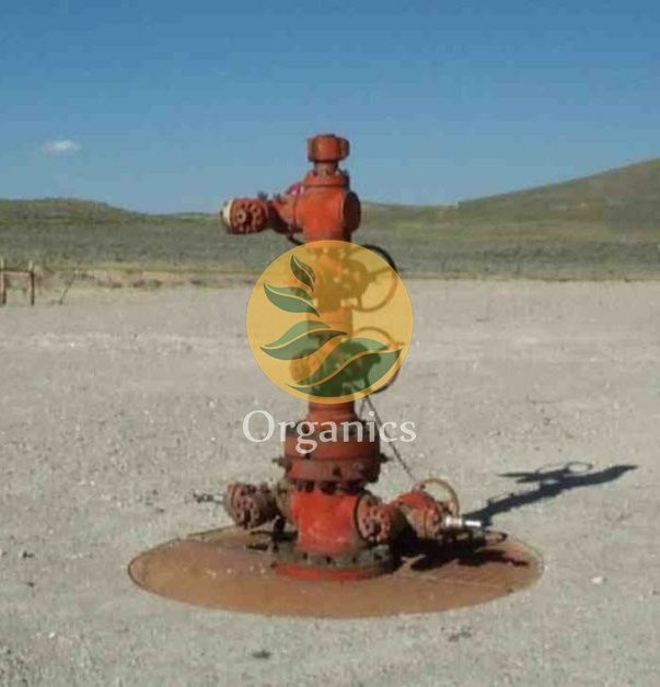 Wellhead installation at a remote stranded gas site