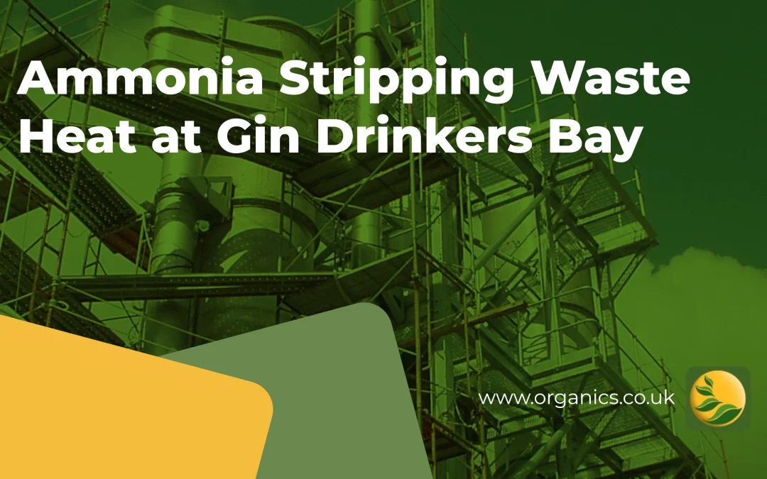 Ammonia Stripping Waste Heat at Gin Drinkers Bay